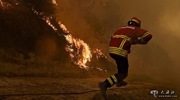 葡萄牙山火持续蔓延 消防员现场灭火