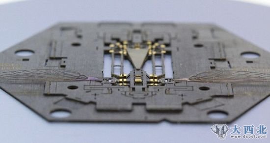 2.4毫米高的机器人,由稍大一点的机器人负责组装 2.4毫米高的机器人,由稍大一点的机器人负责组装