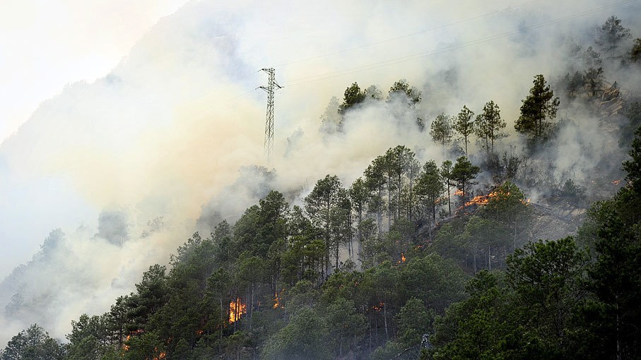 西班牙发生山火 千顷森林过火