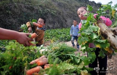 10月5日,在兰州市榆中县甘草店镇,几个小朋友在搬运刚刚采摘的萝卜。新华社记者 张锰 摄