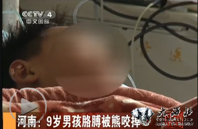 关于小学信息技术课的教学的学士学位论文范文