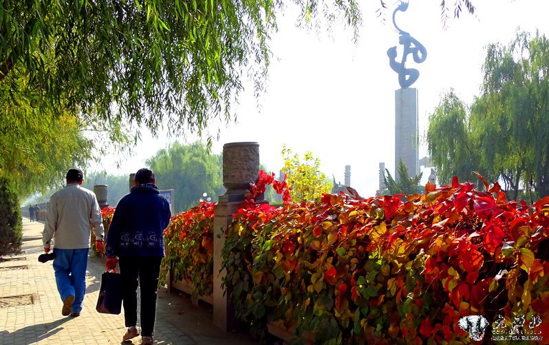 兰州：黄河风情线秋景如画