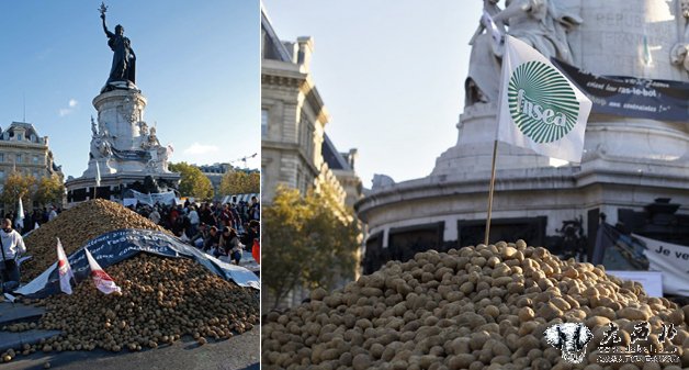 法国农民倾倒50吨土豆 抗议蔬菜跌价