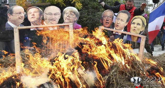 欧洲奶农焚烧领导人肖像倾倒牛奶 抗议牛奶价格过低