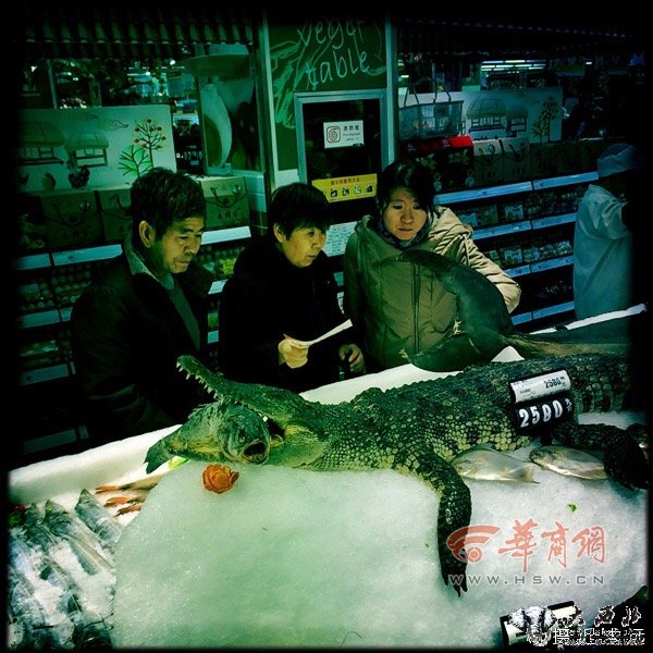 s88mjj6oik4z3zbszlj7.jpg obcaDjpxoKkS_7zxE6AjtPMVr4Sg-20141222041208524.jpg