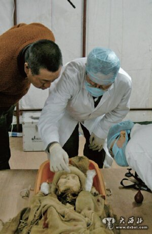 小河墓地频出科技考古新成果 3500 年前小河居民做开颅手术 小河墓地频出科技考古新成果 3500 年前小河居民做开颅手术