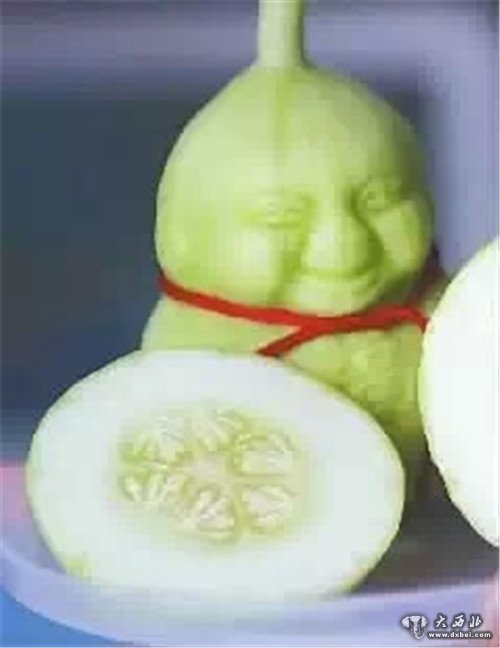 yy4z7994.jpg 娃娃人参果2.jpg