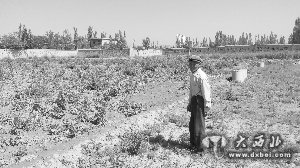 组织村民毁田赶人 煽动群众砸车打记者 这个社长好蛮横 真就没人管得了?
