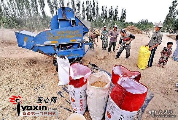 打下重建基础树起自救信心 地震灾区抗灾自救见闻 打下重建基础树起自救信心 地震灾区抗灾自救见闻