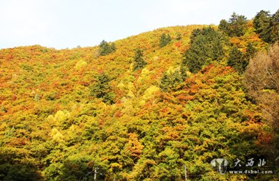 “红叶”撬动榆中旅游