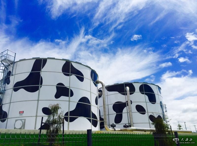 在一系列大大小小的垫场演出之后,蒙牛海外征程的大戏终于在今天拉开了帷幕,11月6日,蒙牛雅士利新西兰工厂开业了!这座中国乳业第一家海外自建婴幼儿奶粉工厂的投产,将成为蒙牛国际化之路上的一个重要里程碑。