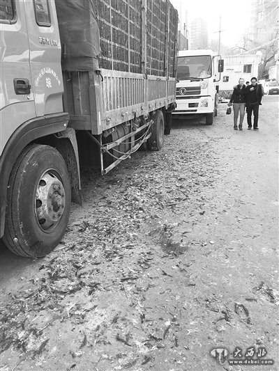 下西园南6号附近:一地鸡毛 臭味刺鼻