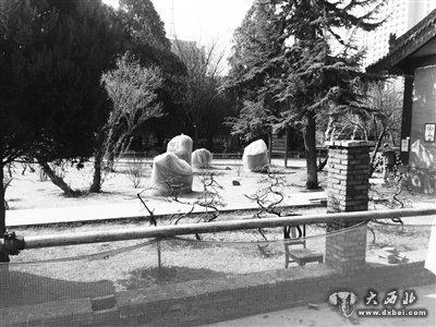 市民:金城盆景园砌砖墙封闭绿色? 园方:砌高地基安装新式透景栏杆