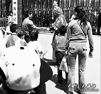 公园门口的“猴哥”