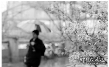 兰州市民打伞在雨中行走