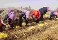 兰州市西固区张家大坪