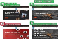 “国际机构”的证书花