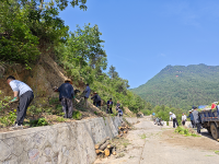 成县:夏染护坡绽新绿