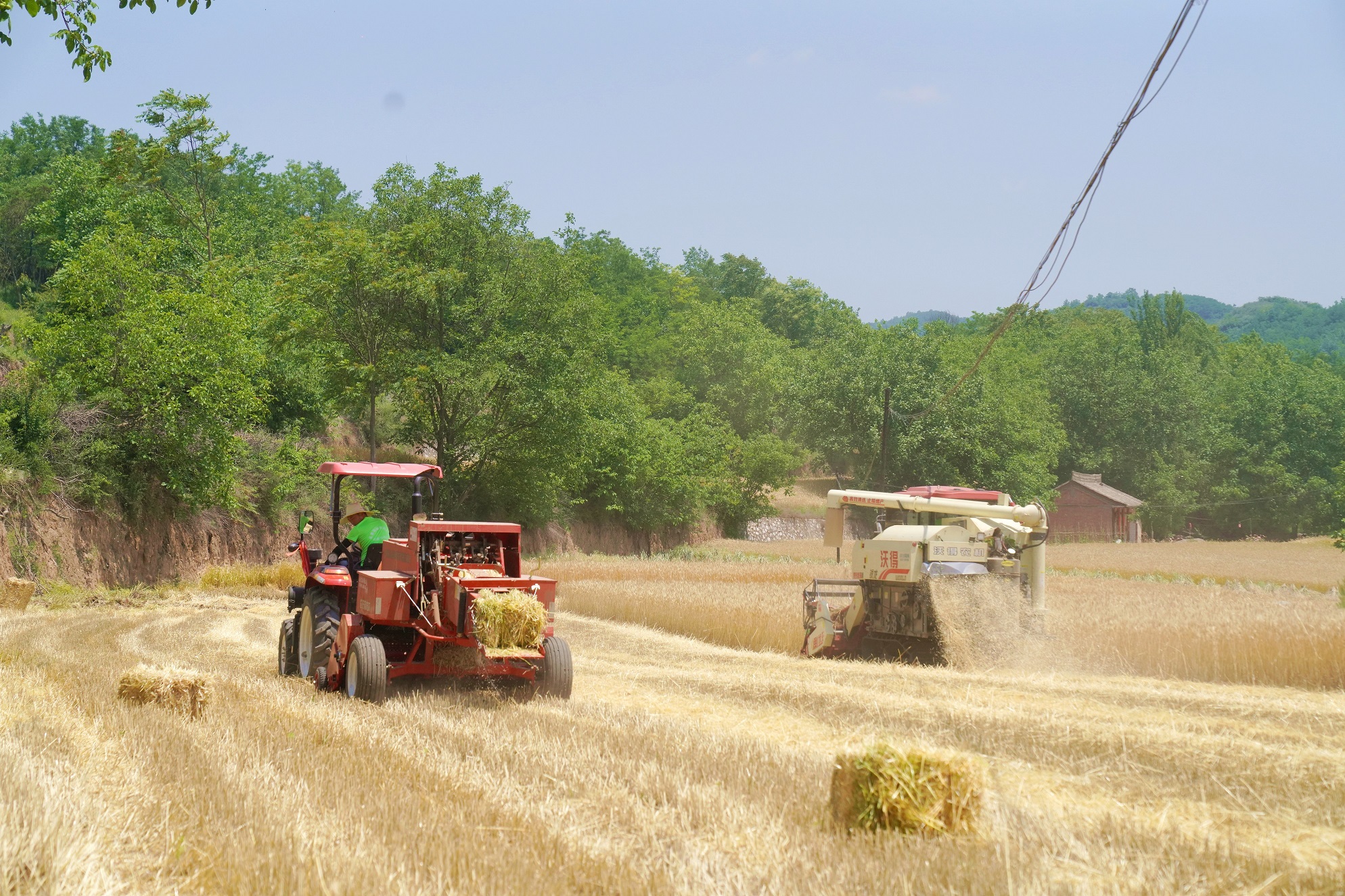 新农人安高好：在希望